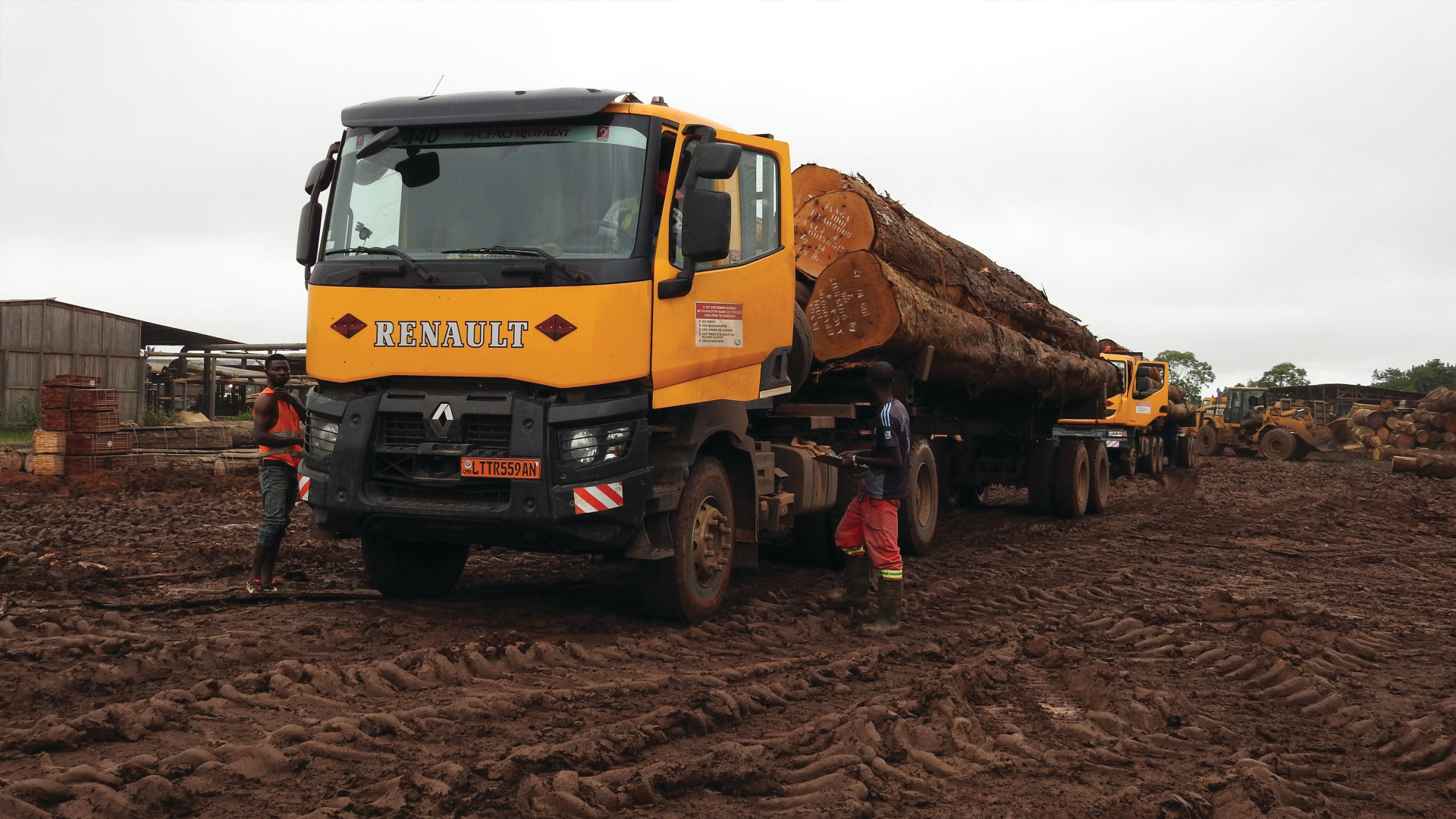 Transport de grumes une activit exigeante Renault Trucks